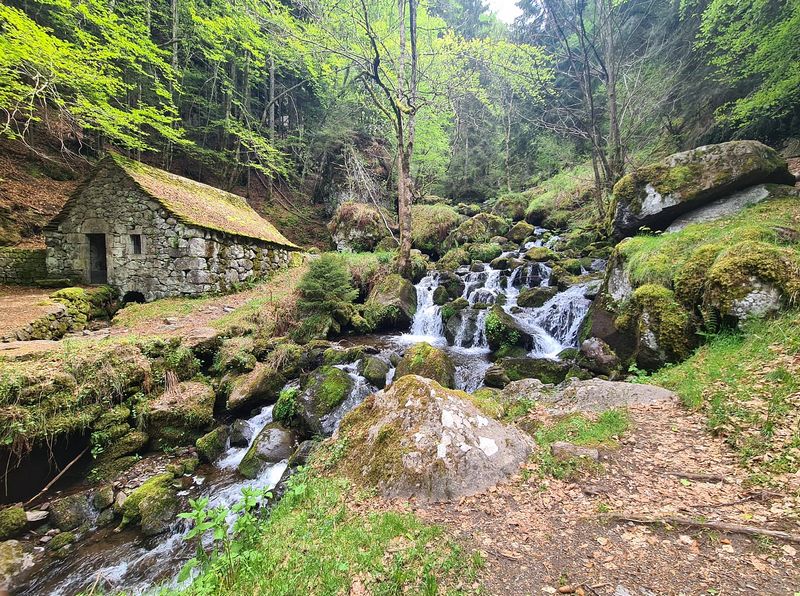 24mai2025-lioran-moyenne-2