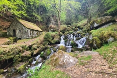 24mai2025-lioran-moyenne-2