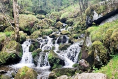 24mai2025-lioran-moyenne-3