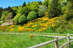 25mai2025-courte-b1
