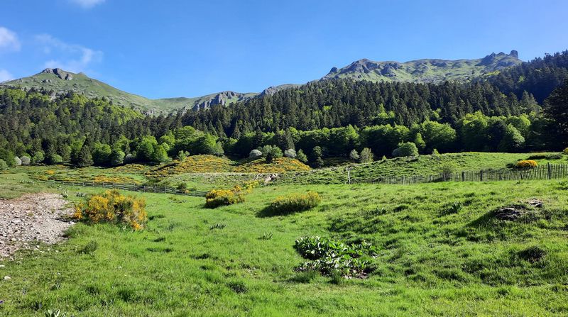 25mai2025-moyenne-7