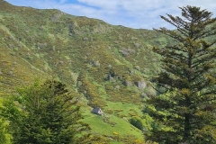 25mai2025-moyenne-3