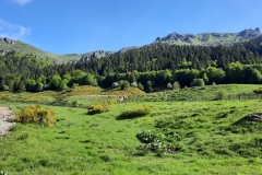 25mai2025-moyenne-7
