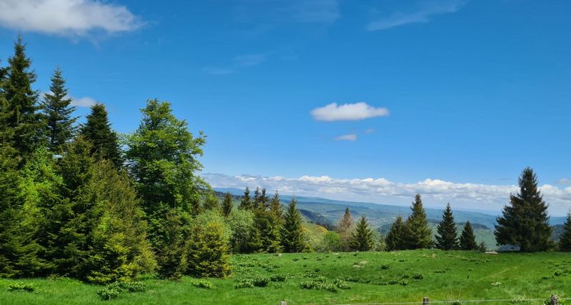 26mai2025-moyenne-6