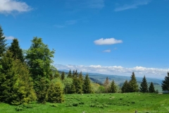 26mai2025-moyenne-6