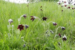 26mai2025-moyenne-7