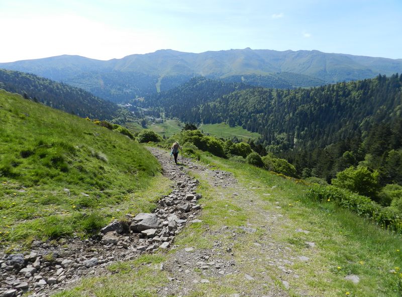 27mai2025-moyenne-2