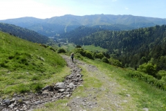 27mai2025-moyenne-2