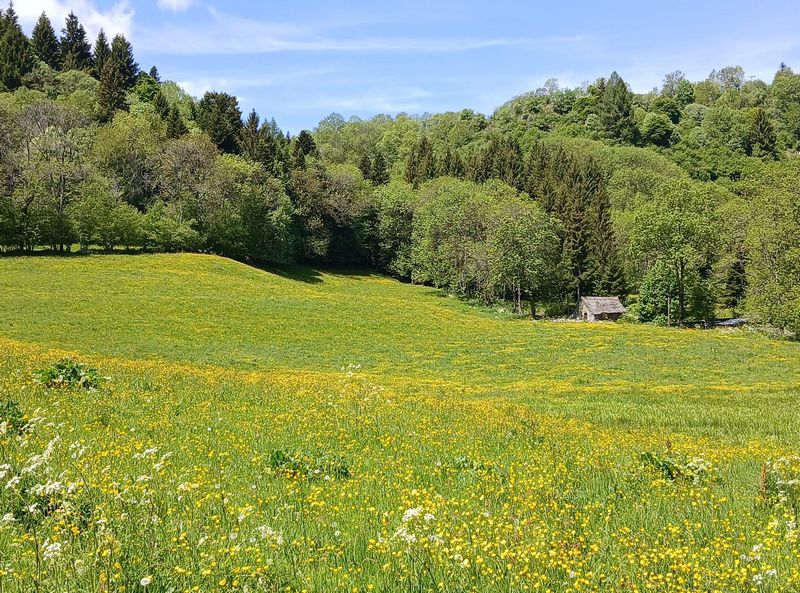 28mai2025-longue.2