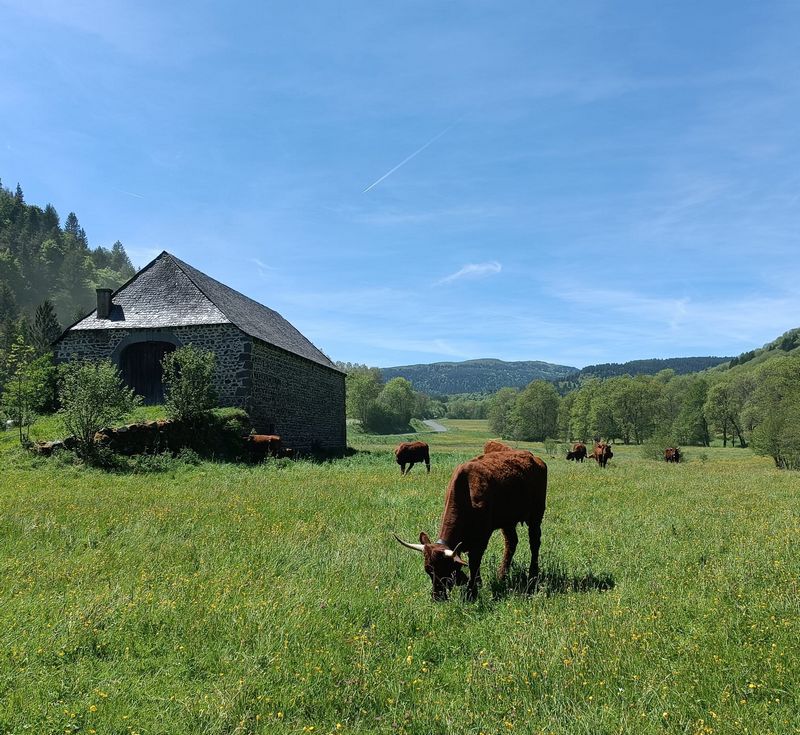 28mai2025-longue.4