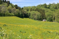 28mai2025-longue.2