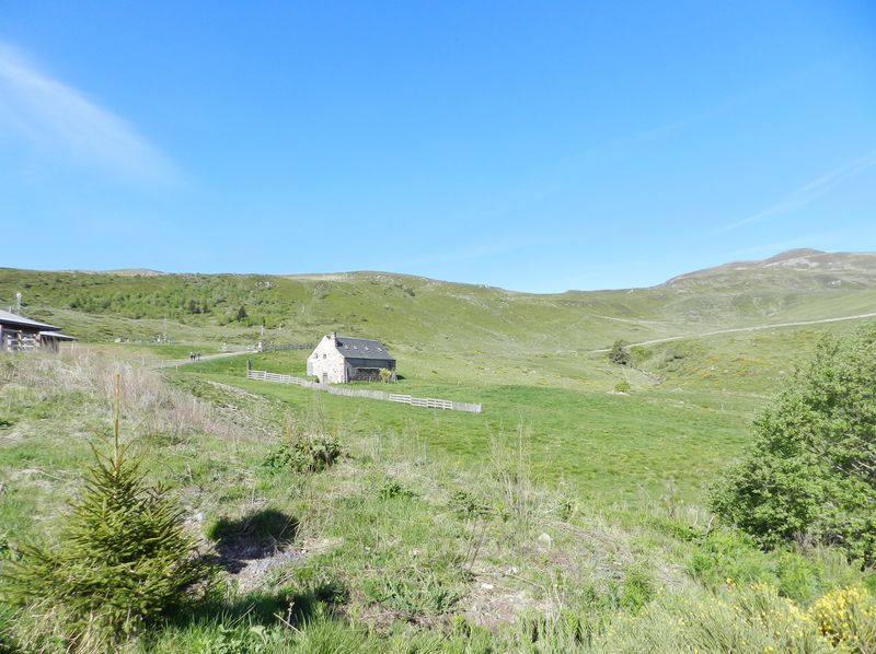 28mai2025-moyenne-1b