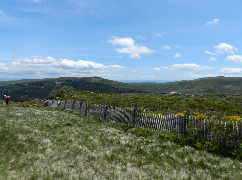 28mai2025-moyenne-6b