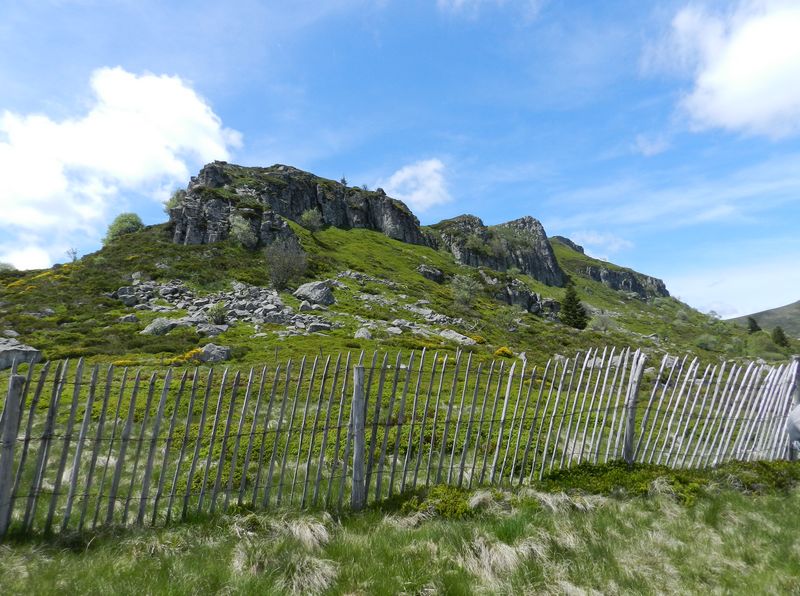28mai2025-moyenne-7b