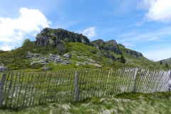 28mai2025-moyenne-7b