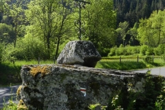 29mai2025-courte.3