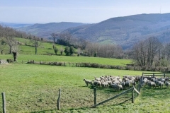 4avril2025.2