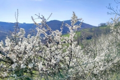 4avril2025.5