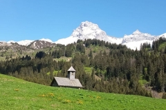 23mai2026-duche-2