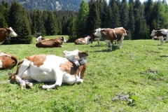24mai2026-glieresfacile-2