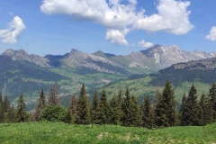 25mai2026-danaydifficile.5