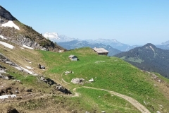 26mai2026-tardevantdifficile.7