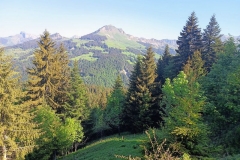 26mai2026-tardevantdifficile.8